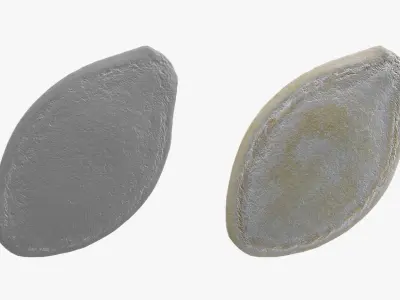 Pumpkin Seed 01 3D model