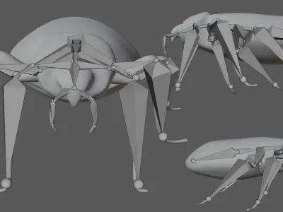 Bedbug bed bug Low-poly 3D model