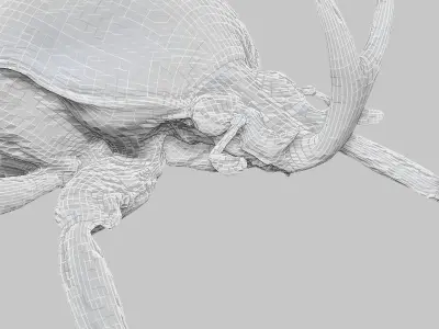 Insect Collection Vol 2 Low-poly 3D model