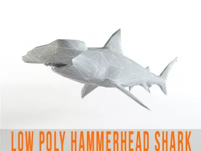 Hammerhead Shark Low Poly Predator Jaws Lowpoly Low-poly 3D model