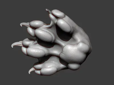 Cat Paw Highpoly Sculpt 3D model