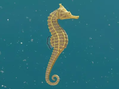 Pacific Seahorse Low-poly 3D model