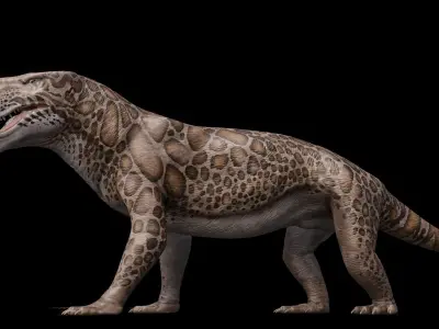 Inostrancevia Low-poly 3D model