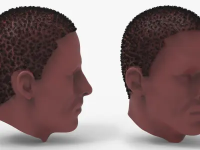 6 Afro Haircut Style 3D model