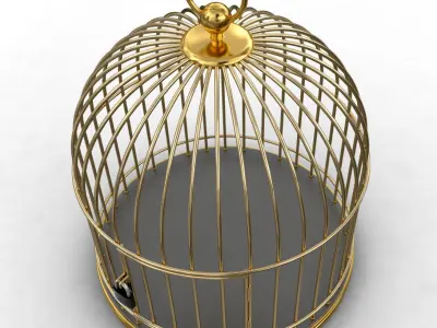 Golden Cage 3D model 3D model