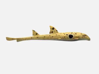 EPAULETTE SHARK Low-poly 3D model