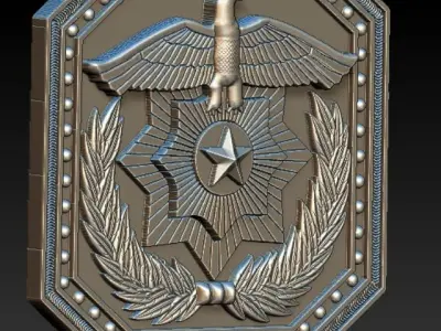 madalion military badge with eagle and laurel 3D print model
