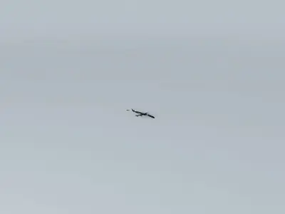 R5AC First Flights Airplane Crashes Free 3D model