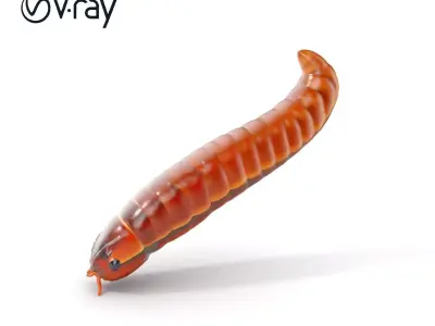 Realistic Millipede Model Pack for Animations and Games Low-poly 3D model