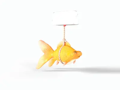 Orange gold fish bladder issue Low-poly 3D model