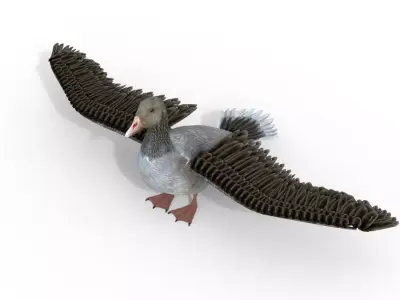 Goose Bird Rigged 3d model Free 3D model