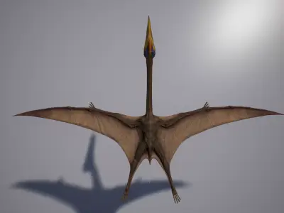 Quetzalcoatlus dinosaur flying in air Low-poly 3D model