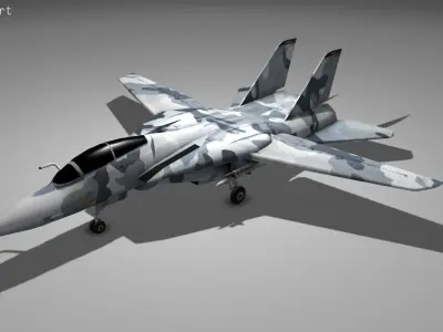 F14 TOMCAT Low-poly 3D model
