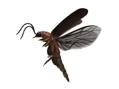 Realistic Firefly Insect - Rigged - Animated Low-poly 3D model