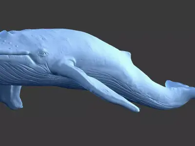 Blue Whale Ready to Print Free low-poly 3D model