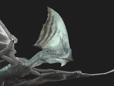 Dinos Flying 3D model