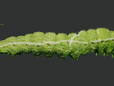 Caterpillar 3D model