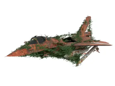 Damaged Rusted Jet 3D model