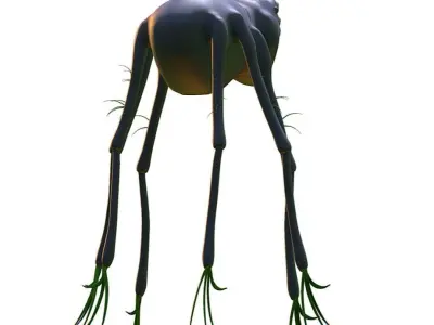 Hi-Poly Subdivision 3D Model Spider Low-poly 3D model