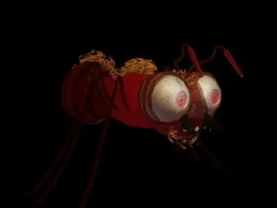 ant-rigged ant Low-poly 3D model