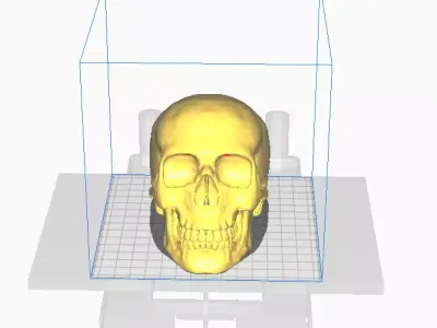 skull in box Free 3D print model