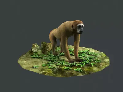 Gibbons apes omnivores apes mammals 3D model