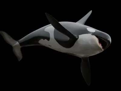 Orca killer whale Low-poly 3D model