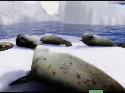 9 Seals 9 Arctic Bay 3D model