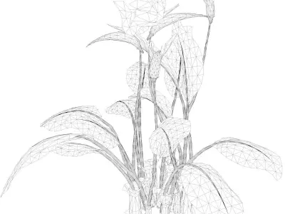 Bird of Paradise Flower - 06 - 3D model