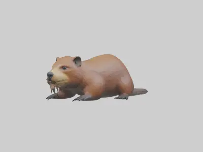 Lying Beaver Model 1 Low-poly 3D model