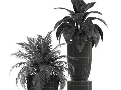 Plants collection 236 3D model