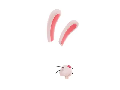 Rabbit Face 3D model
