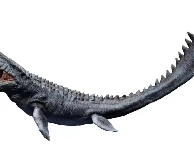 Mosasaurus 3D model