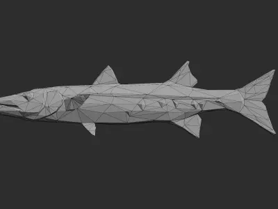 Low Poly Great Barracuda Low-poly 3D model