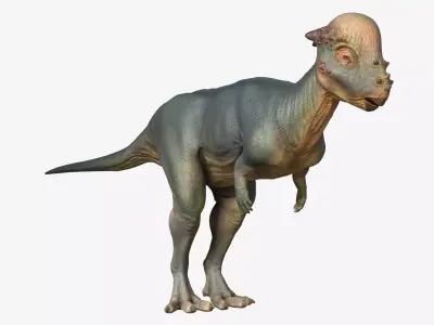 Pachycephalosaurus dinosaur Low-poly 3D model