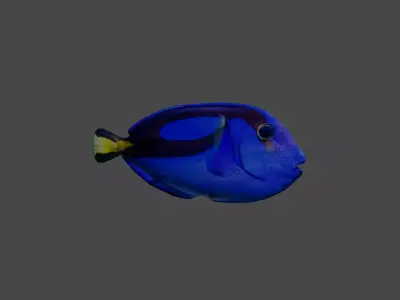 a fish Free 3D model