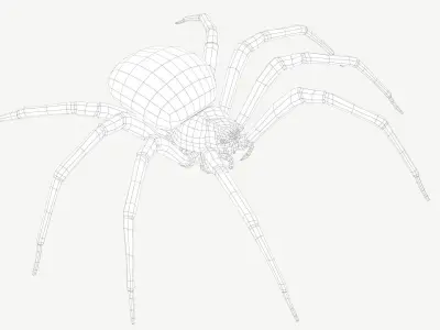 Orb Weaver Spider Low-poly 3D model