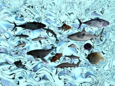 Water Animals In Water 3D model