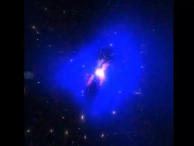 Phoenix Cluster 3D model