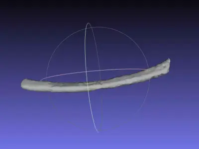 Psittacosaurus Right Dorsal Rib 5 Free 3D print model