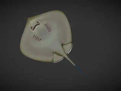 Ray fish Low-poly 3D model