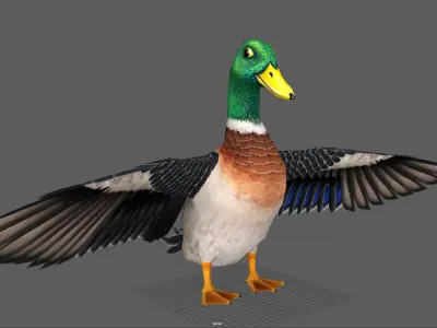 Mallard Duck Low-poly 3D model