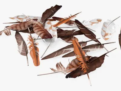 Mixed Bird Feathers Pile Multicolor 3D model