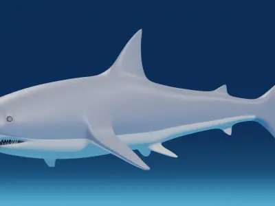 Cartoon Great White Shark 3D model