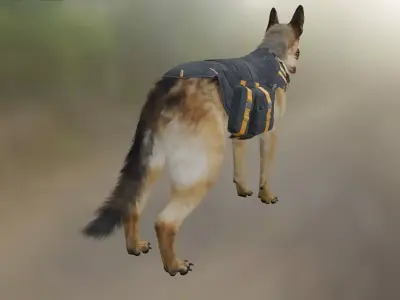 Dog   jerman seaford  3D model