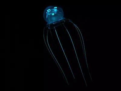 Jellyfish glowing 3D model