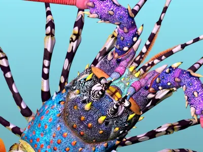 Ornate spiny lobster 3D model