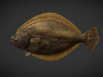 Sea Fish Low-poly 3D model