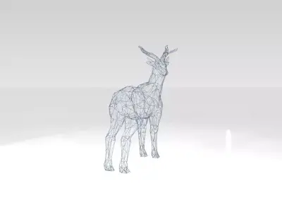 Deer Wireframe 3D model