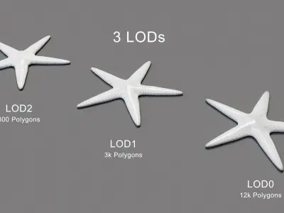 Red Starfish Low-poly 3D model